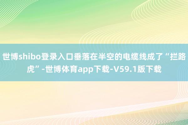世博shibo登录入口垂落在半空的电缆线成了“拦路虎”-世博体育app下载-V59.1版下载
