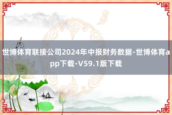 世博体育联接公司2024年中报财务数据-世博体育app下载-V59.1版下载