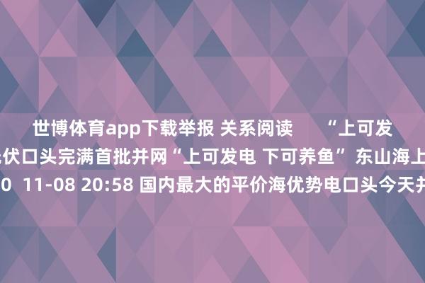 世博体育app下载举报 关系阅读      “上可发电 下可养鱼” 东山海上光伏口头完满首批并网“上可发电 下可养鱼” 东山海上光伏口头完满首批并网    0  11-08 20:58 国内最大的平价海优势电口头今天并网发电国内最大的平价海优势电口头今天并网发电    18  10-26 11:20 建投动力：拟与新天绿能等同比例向海优势电公司增资建投动力：拟与新天绿能等同比例向海优势电公司增资 