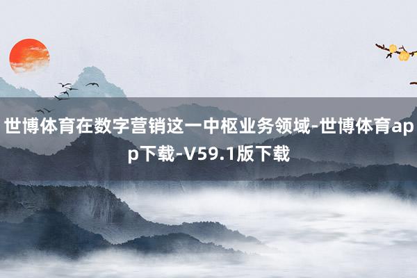 世博体育在数字营销这一中枢业务领域-世博体育app下载-V59.1版下载