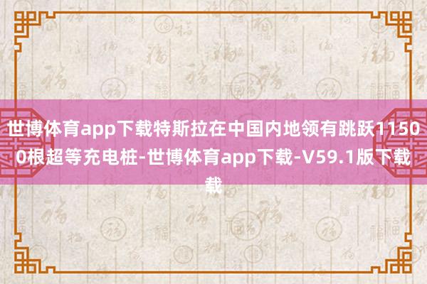 世博体育app下载特斯拉在中国内地领有跳跃11500根超等充电桩-世博体育app下载-V59.1版下载