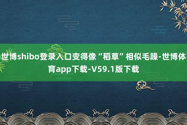 世博shibo登录入口变得像“稻草”相似毛躁-世博体育app下载-V59.1版下载