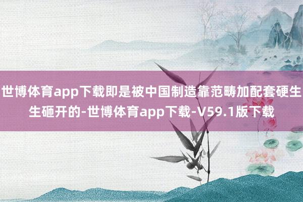 世博体育app下载即是被中国制造靠范畴加配套硬生生砸开的-世博体育app下载-V59.1版下载